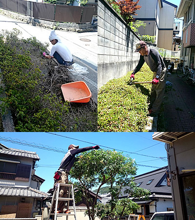 草刈、枝払い、トユ掃除